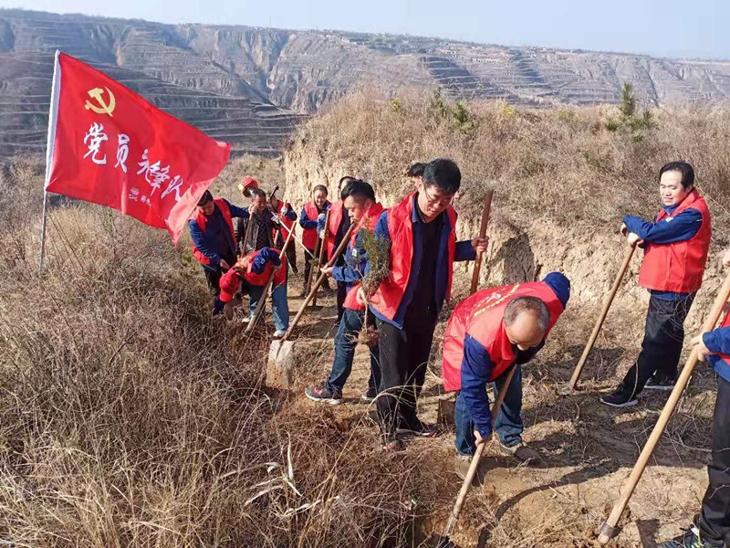 彬州市：阳春三月春风暖 学习雷锋正当时(图2)